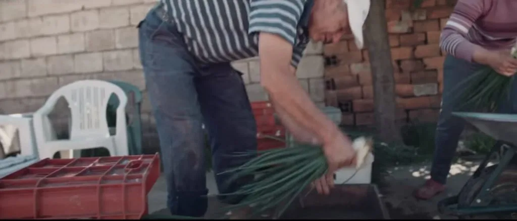 агро заеми