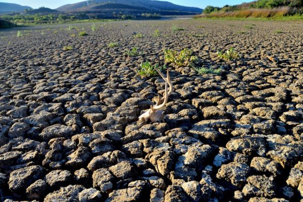 Турција суша го намали земјоделското производство