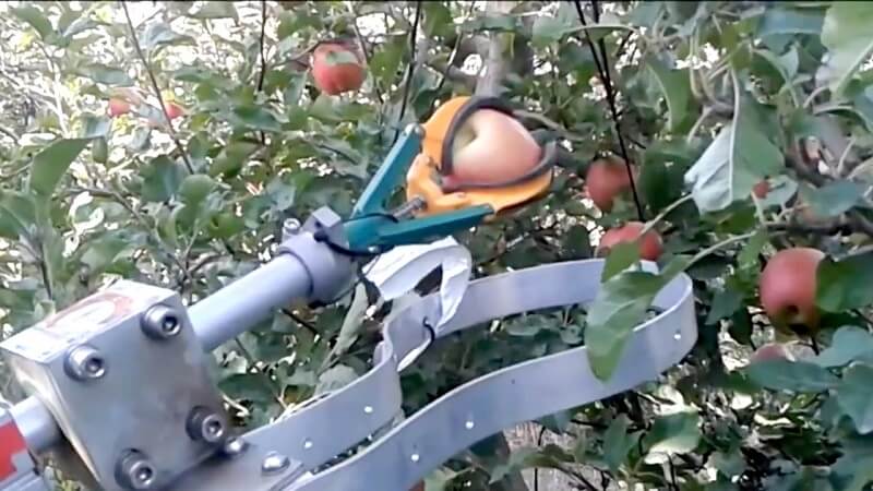 Робот за берење јаболка