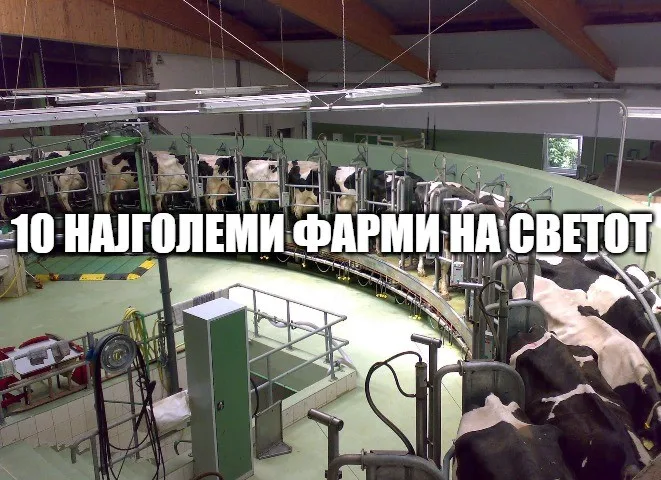 10 најголеми фарми на светот