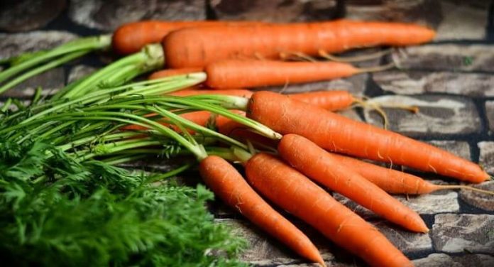 сеидба на моркови