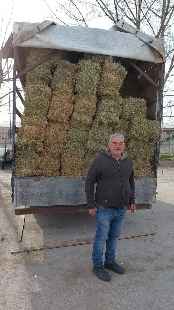 Детелина, Јонџа барајте го Мемед Весели 070270341