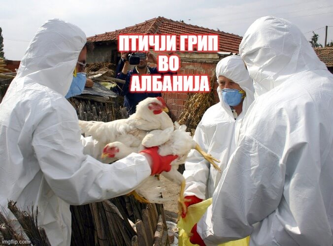 Птичји грип во Албанија