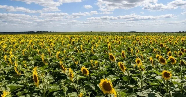 Украина ја укина забраната Украина ја укина забраната