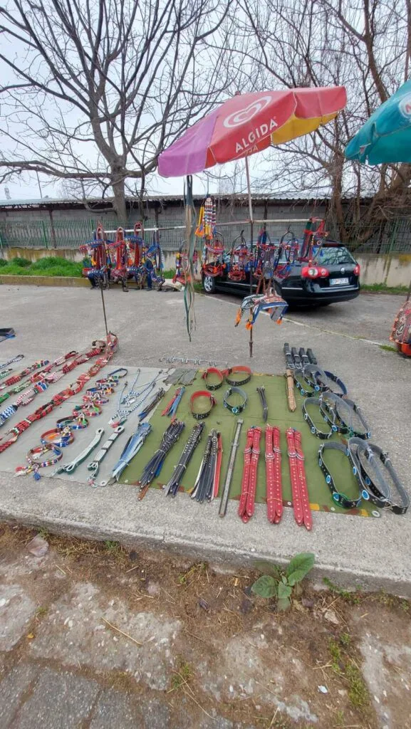 Сточен пазар Скопје