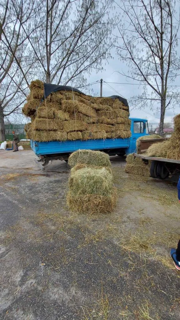 Сточен пазар Скопје