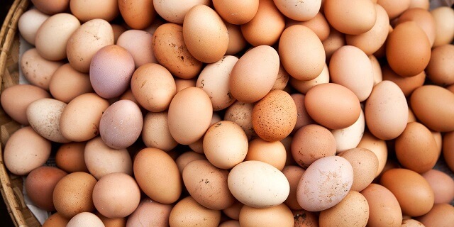 4 фактори кои влијаат на квалитетот на лушпата од јајцето