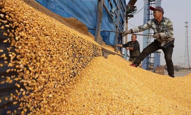 производство на пченка