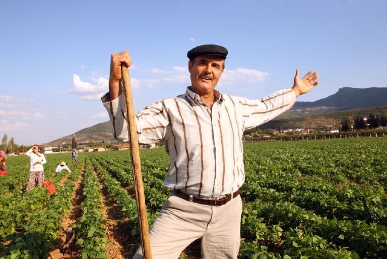 Турското земјоделие руши рекорди