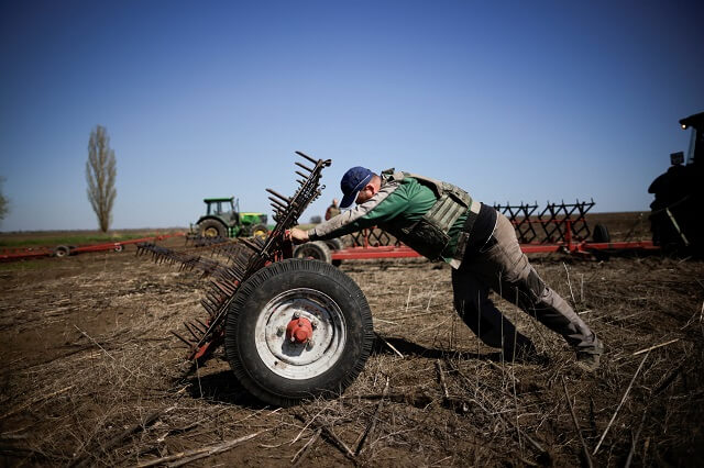 Украинци со шлемови сеат пченица, а немаат гориво за жетва!