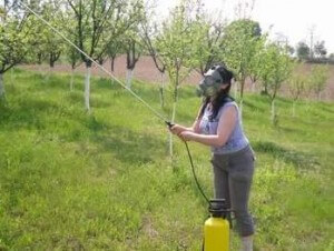 Земјоделците на обука за употреба на пестициди?