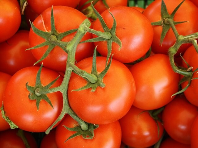Зошто речиси и да нема веќе вкусни домати?