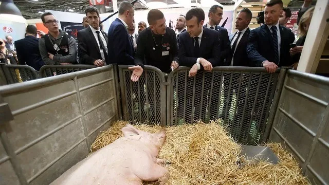 еколошка политика во земјоделството еколошка политика во земјоделството