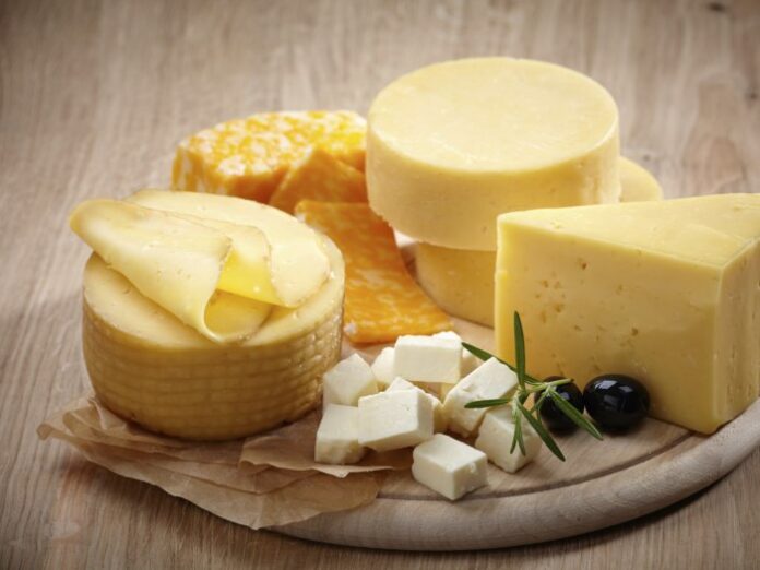видови сирење