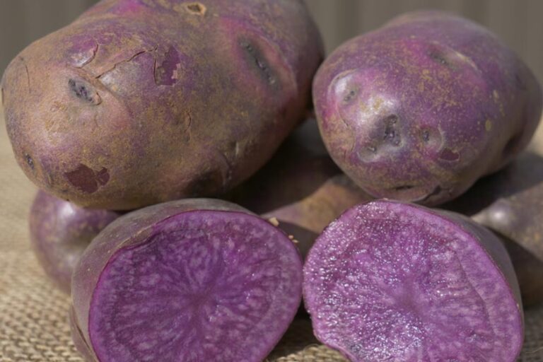 Виолетов компир – необичен, но сепак многу здрав