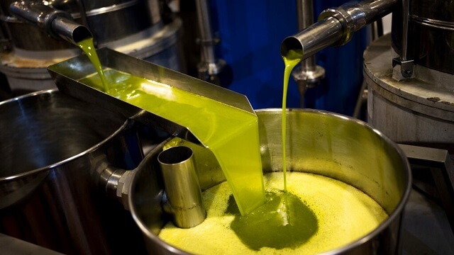 Производството на маслиново масло е преполовено во Шпанија