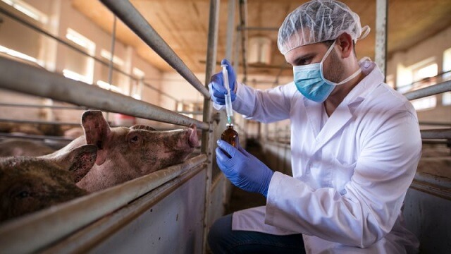 Добра вест: речиси преполовена продажба на антибиотици во ветеринарството