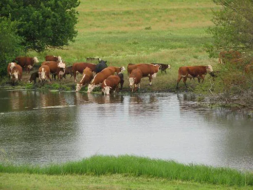 водата