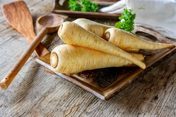 пашканат пашканат