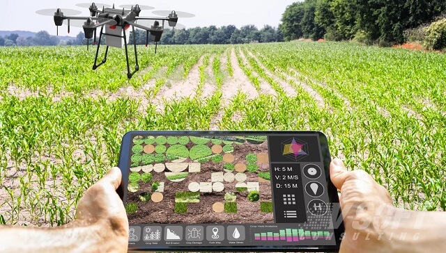 AI во земјоделството