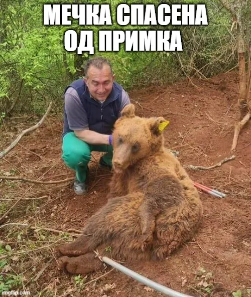 Мечка спасена од примка Мечка спасена од примка