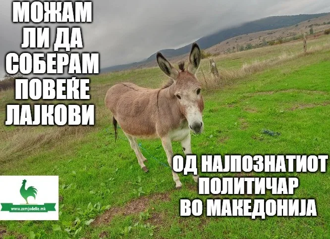Магаре попознато од политичари