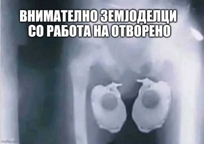 Топлотен бран