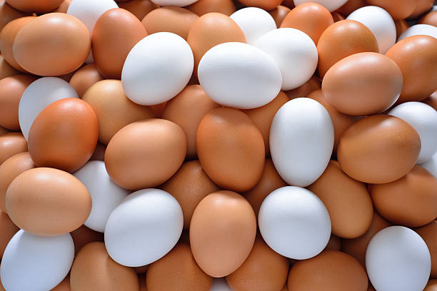 бели јајца