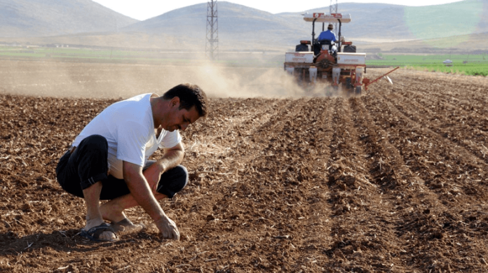 Зошто земјоделието во Макеоднија се намалува