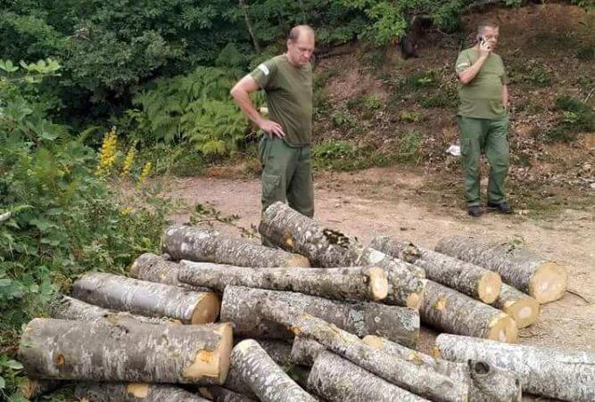 Drvokradci vo Sirkovo
