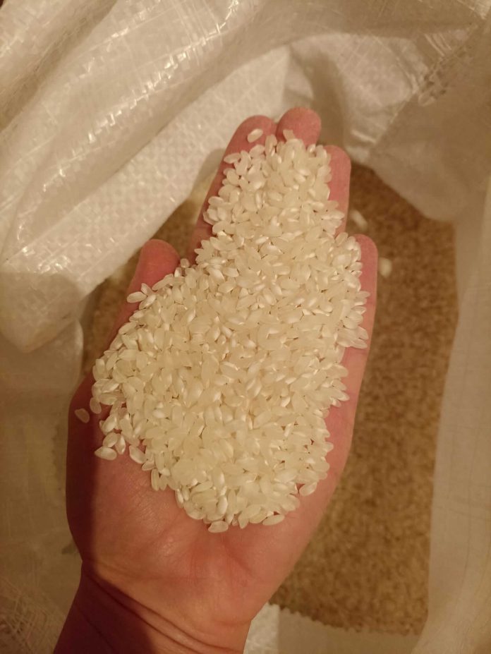 Бел ориз принос