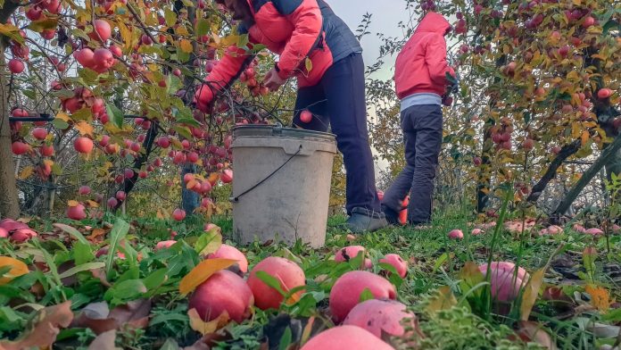 Зголемување на дневниците