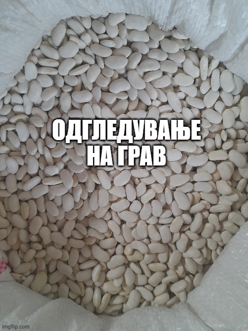 Одгледување на грав