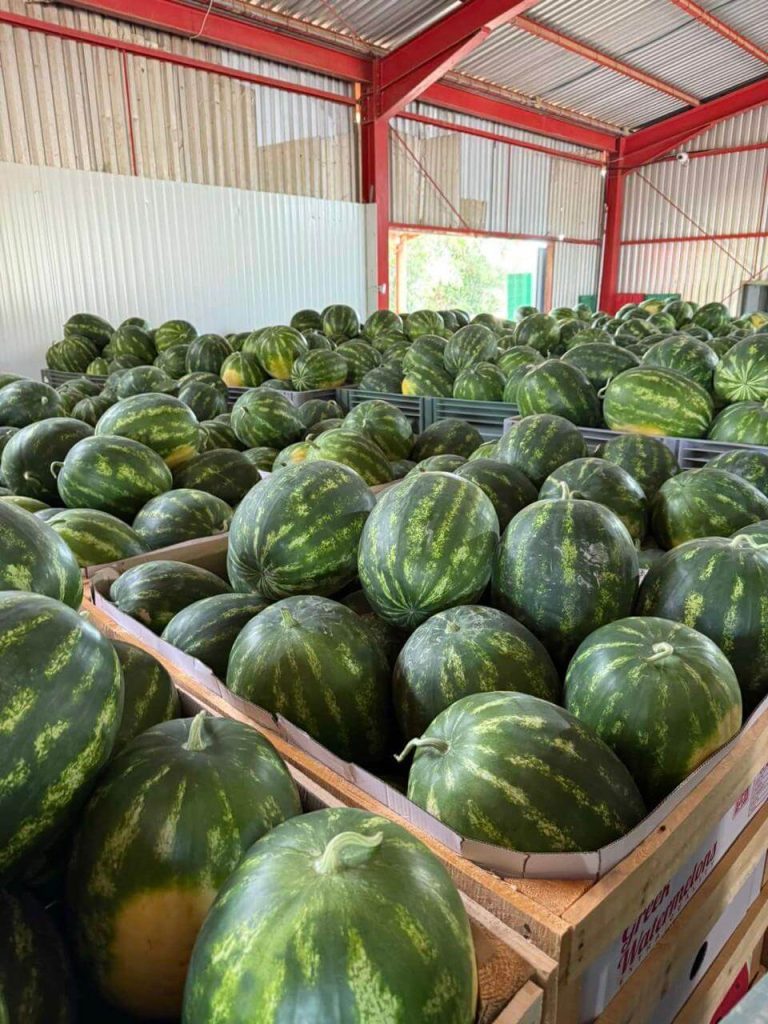 Цените на кванташки