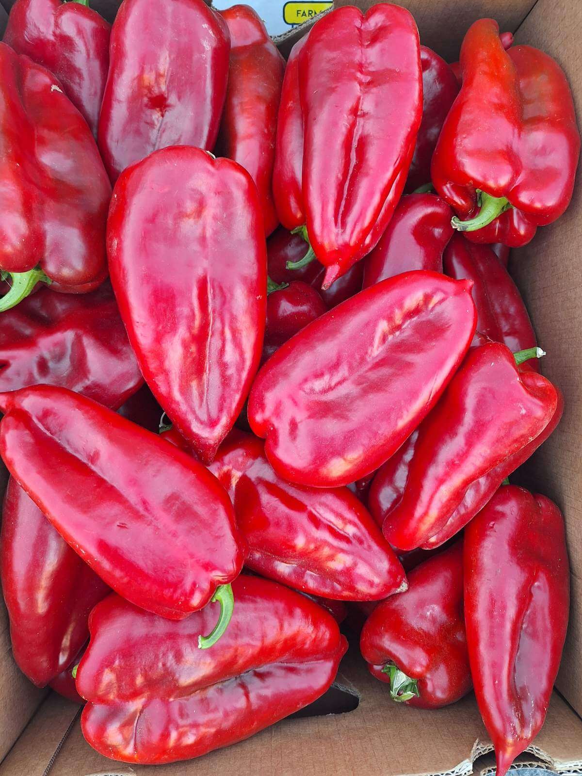 Жалаңаш Саманта Картер