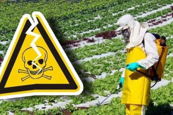 Труење со пестициди: Симптоми, превенција и прва помош (Водич за земјоделци)