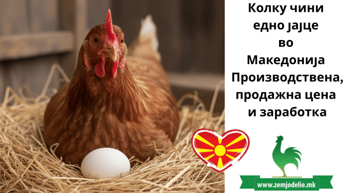 Колку чини едно јајце во Македонија