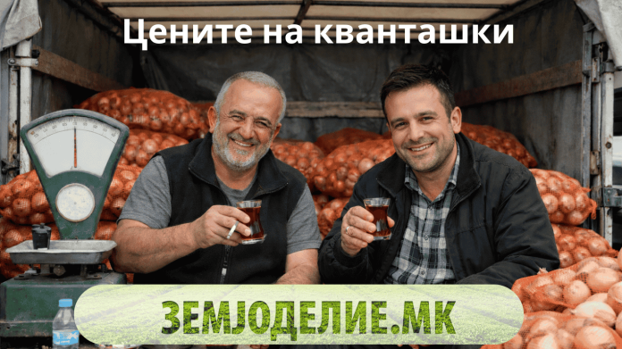 Цените на кванташки 11.02.2026 година Цените на кванташки 11.02.2026