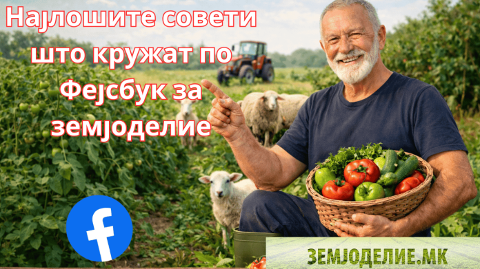 Најлошите совети што кружат по Фејсбук за земјоделие
