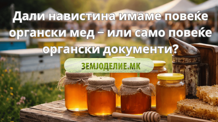 Органски мед