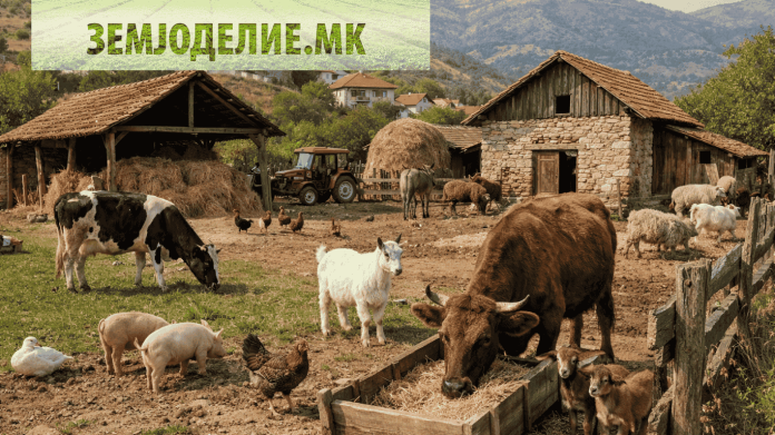 Производство на месо во Македонија