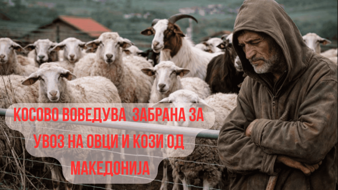 Забрана за извоз на овци и кози