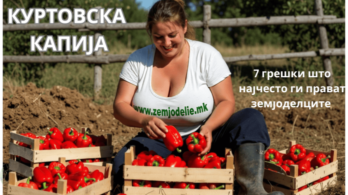 КУРТОВСКА КАПИЈА КУРТОВСКА КАПИЈА