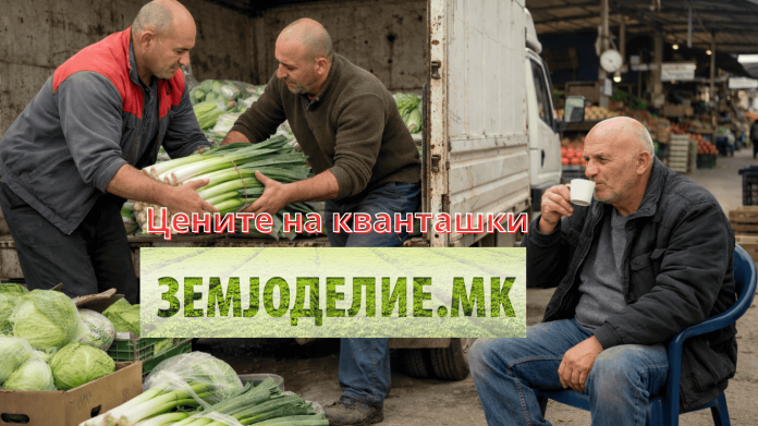 Цените на кванташки 12.03.2026 година