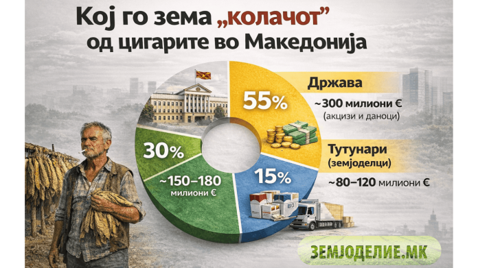 Кај кого одат парите од тутунот