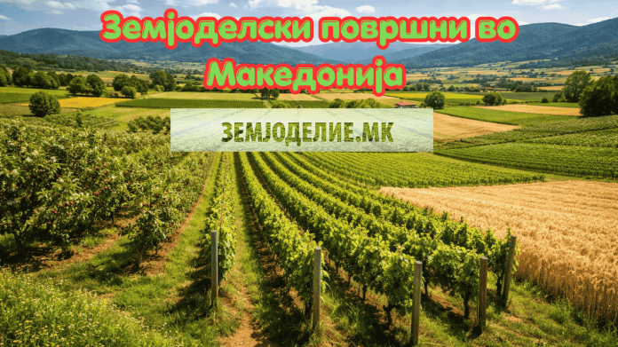 Земјоделски површини во Македонија: лозјата и пасиштата во пад, овоштарниците растат Земјоделски површини во Македонија