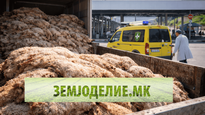 АХВ врати 10 тони јагнешка