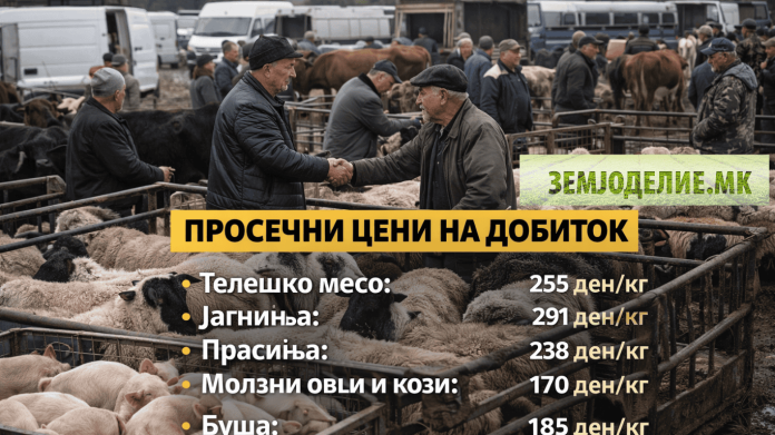 Цени на добиток во Македонија