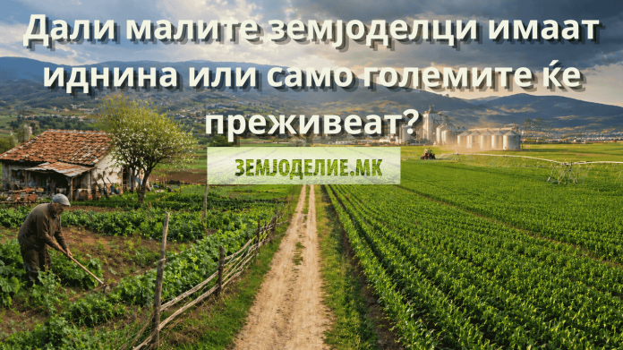 мали земјоделци иднина