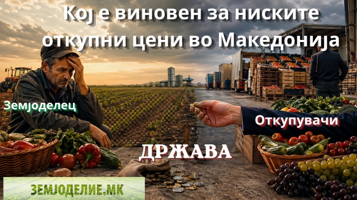 ниски откупни цени Македонија